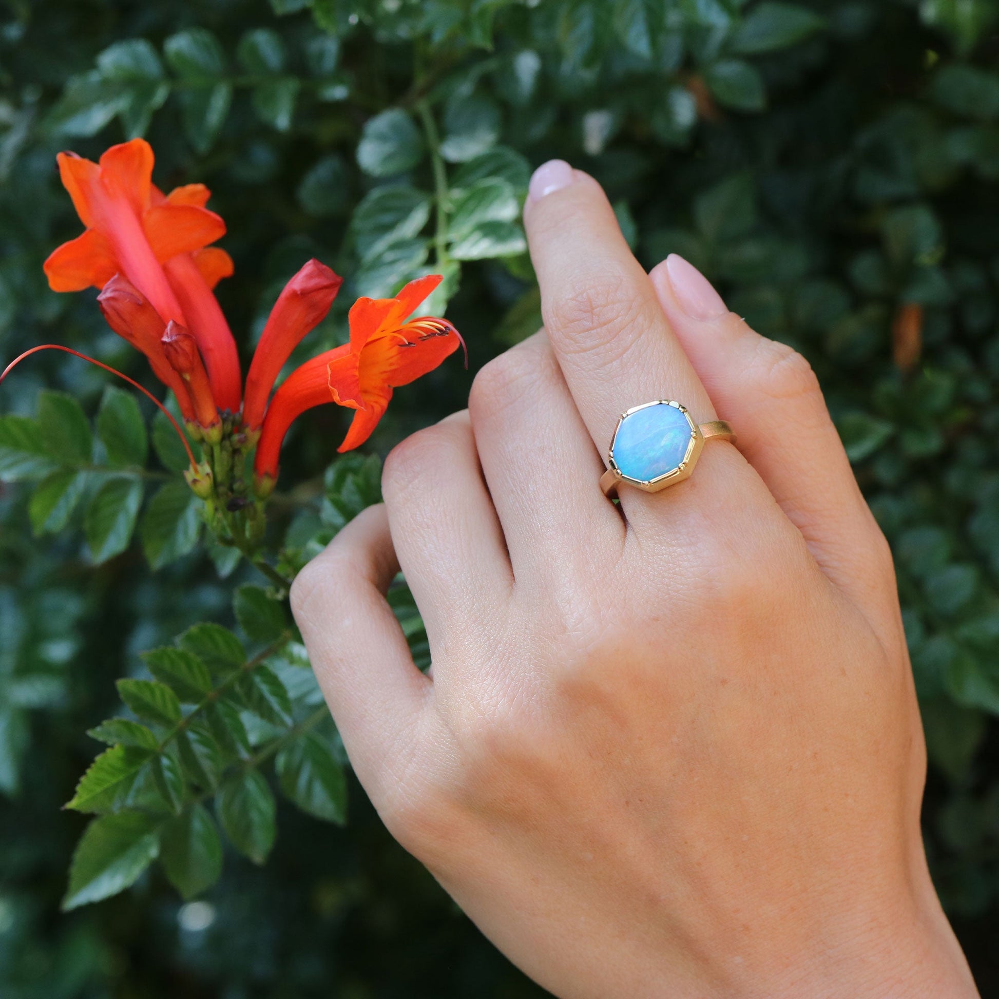 Hand wearing a gold ring with a blue opal stone, next to orange flowers and green leaves.